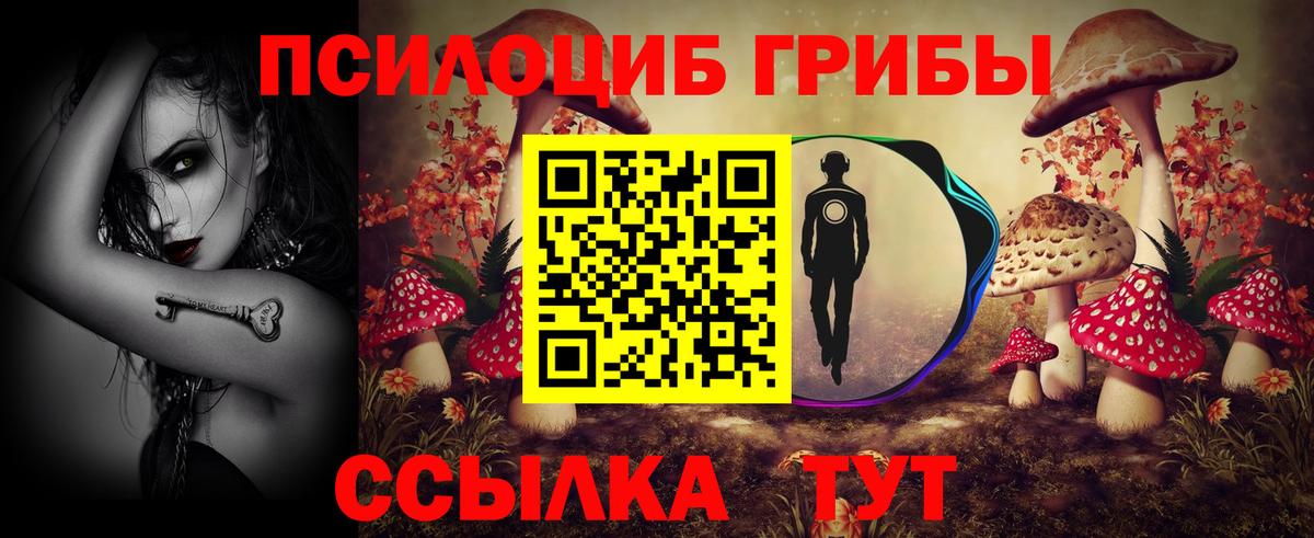 Чапаевск  Галлюциногенные грибы ЛСД  Вход с VPN 