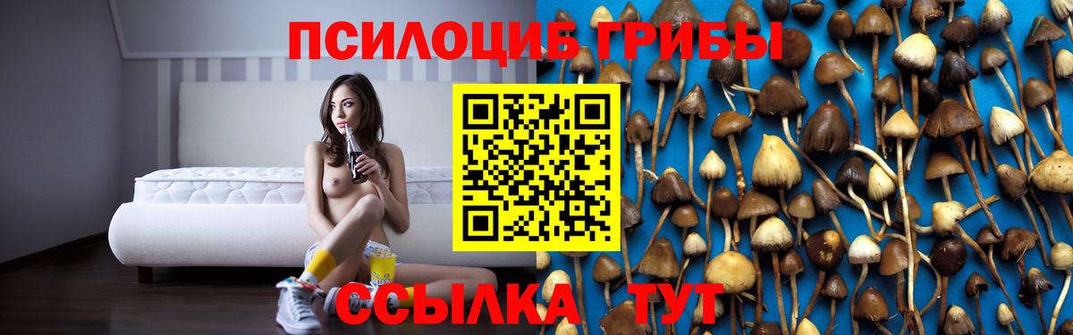 Галлюциногенные грибы Psilocybine cubensis Чапаевск