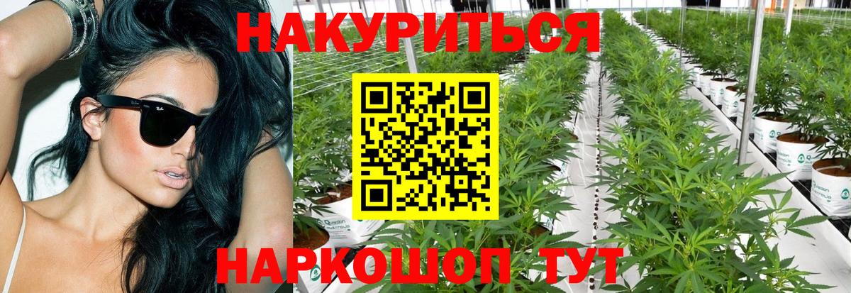 Бошки Шишки марихуана  Канабис планчик  Чапаевск  Бошки Шишки Bruce Banner  Бошки Шишки LSD WEED  Вход с VPN 